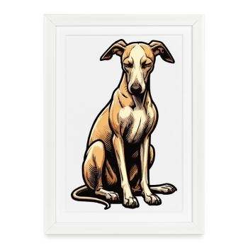 Whippet Greyhound Whippets Propriétaire de lévrier - Affiche encadrée (27 × 37 cm) - blanc - Devant
