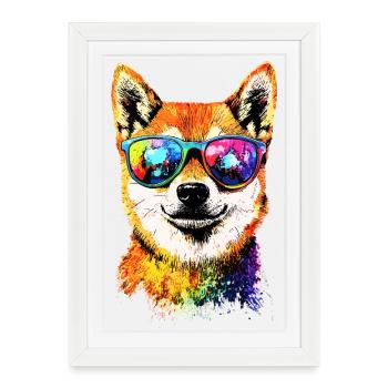 Chien Shiba Inu Race de chiens japonais Shibas du Japon - Affiche encadrée (27 × 37 cm) - blanc - Devant