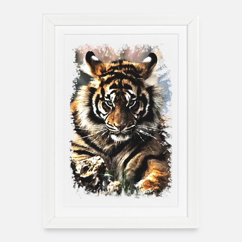 Tiger - Gerahmtes Poster (27 × 37 cm) - Weiß