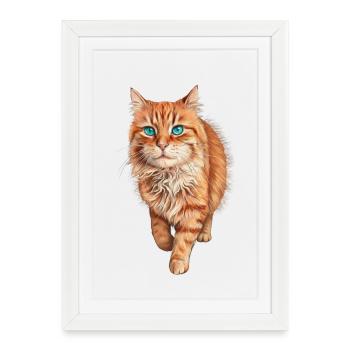Chat Orange aux Yeux Bleus - Affiche encadrée (27 × 37 cm) - blanc - Devant