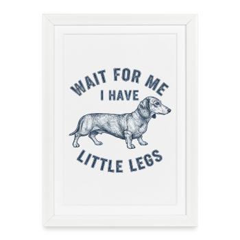Teckel qui dit : Attends, aie les jambes courtes, amoureux des chiens - Affiche encadrée (27 × 37 cm) - blanc - Devant