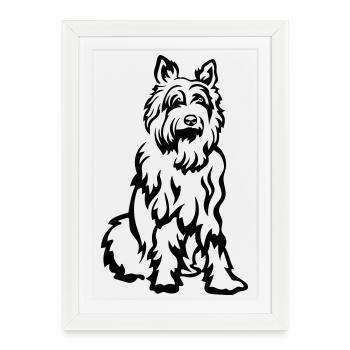 Picard - Affiche encadrée (27 × 37 cm) - blanc - Devant