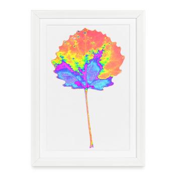 Tree - Round Leaf - Colorful Nature - Framed poster (27 × 37 cm) - white - Front