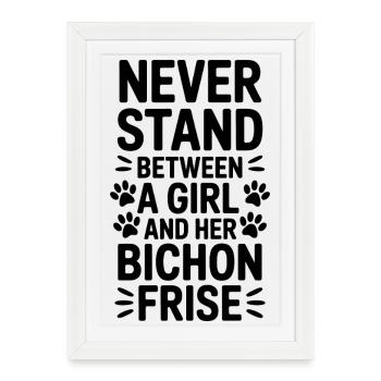 Expressions du Bichon Frisé Drôle : Don Bichon Frisé - Affiche encadrée (27 × 37 cm) - blanc - Devant