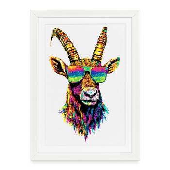 Chèvre Capricorne Bouquetin alpin Chèvres capricornes - Affiche encadrée (27 × 37 cm) - blanc - Devant