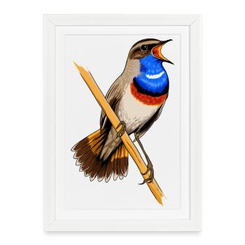 Gorge bleue - Affiche encadrée (27 × 37 cm) - blanc - Devant