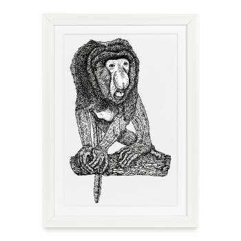 Singe Proboscis - Affiche encadrée (27 × 37 cm) - blanc - Devant