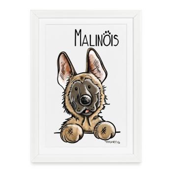 Sweet Malinois - Dog - Dogs - Comic - Framed poster (27 × 37 cm) - white - Front