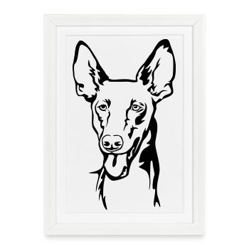 Pharaoh dog (Kelb-tal Fenek) head - Framed poster (27 × 37 cm) - white - Front