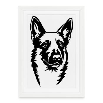 Malinoi's head - Framed poster (27 × 37 cm) - white - Front