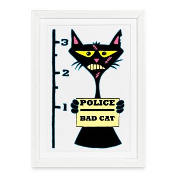 Chat racaille - Affiche encadrée (27 × 37 cm) - blanc - Devant
