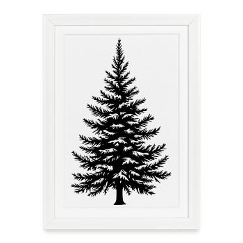 Vecteur épicéa, sapin et conifères - Affiche encadrée (27 × 37 cm) - blanc - Devant
