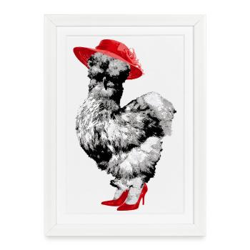 Fans de poulet - Coq - Coq - Poulet de soie - Bio - Affiche encadrée (27 × 37 cm) - blanc - Devant