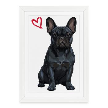 Bouledogue noir français, Français noir - Affiche encadrée (27 × 37 cm) - blanc - Devant