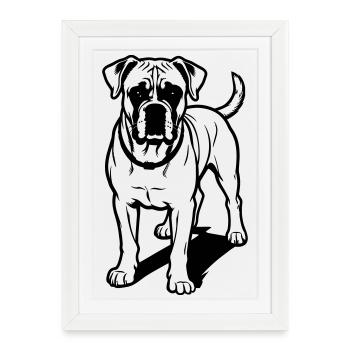Chien boxer - Affiche encadrée (27 × 37 cm) - blanc - Devant