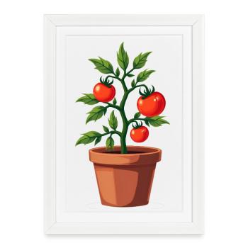 Plante de tomate - Affiche encadrée (27 × 37 cm) - blanc - Devant