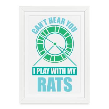 Rat, rat de maison, propriétaire de rats, amoureux des rats - Affiche encadrée (27 × 37 cm) - blanc - Devant