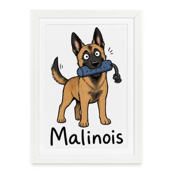 Malinois Dog Puppy - Framed poster (27 × 37 cm) - white - Front