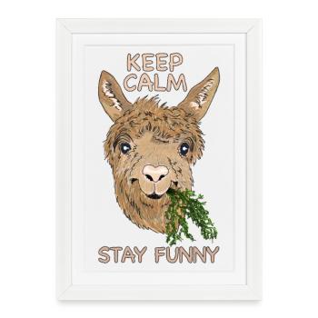 Keep calm stay funny - Alpaga - Affiche encadrée (27 × 37 cm) - blanc - Devant