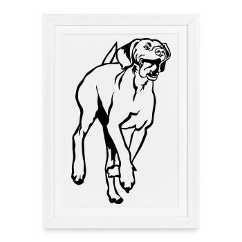 Magyar Vizsla - Framed poster (27 × 37 cm) - white - Front