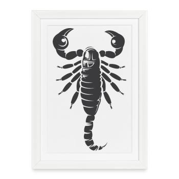 Scorpion Symbol Illustration Graphic icon Animals - Framed poster (27 × 37 cm) - white - Front
