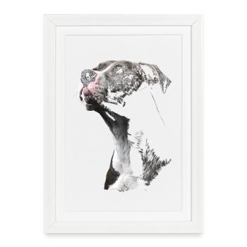 Staffordshire Bull Terrier - Affiche encadrée (27 × 37 cm) - blanc - Devant