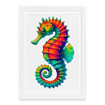 Hippocampe - Affiche encadrée (27 × 37 cm) - blanc - Devant