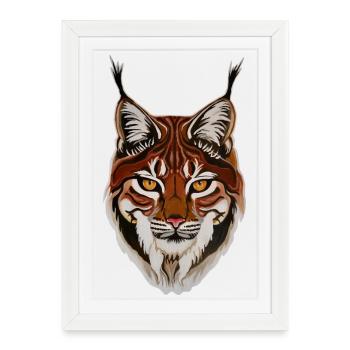 Lynx - Le plus grand félin d’Europe - Affiche encadrée (27 × 37 cm) - blanc - Devant