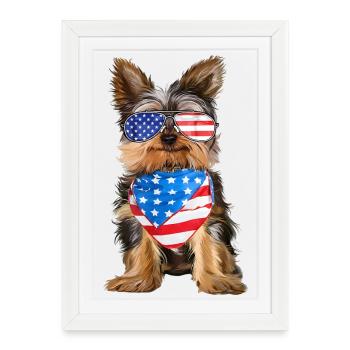Yorkie patriotique avec lunettes et écharpe USA - Affiche encadrée (27 × 37 cm) - blanc - Devant