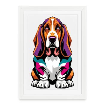 Chien Basset Hound coloré - Affiche encadrée (27 × 37 cm) - blanc - Devant