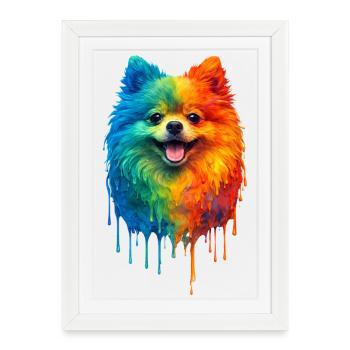 Poméranie aux couleurs vives - Affiche encadrée (27 × 37 cm) - blanc - Devant