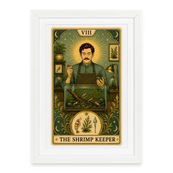 Porte-crevettes | Tarot d’aquarium - Affiche encadrée (27 × 37 cm) - blanc - Devant