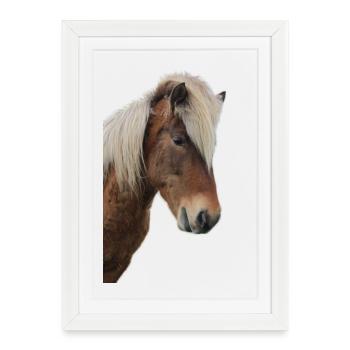 Chevaux T-shirt Cadeau Cavalier - Affiche encadrée (27 × 37 cm) - blanc - Devant