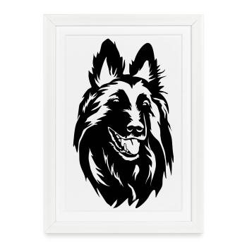 Tervueren head - Framed poster (27 × 37 cm) - white - Front