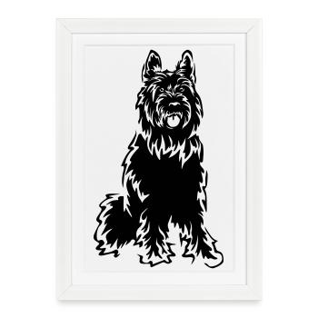 Picard - Affiche encadrée (27 × 37 cm) - blanc - Devant