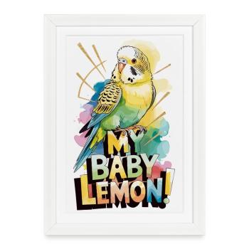 Mon bébé perruche citron qui dit perruche colorée - Affiche encadrée (27 × 37 cm) - blanc - Devant
