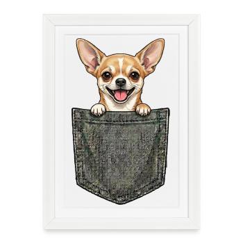 Chihuahua  - Petit Chien Mignon dans la Poche - Affiche encadrée (27 × 37 cm) - blanc - Devant