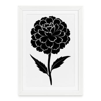 Fleur de souci - Affiche encadrée (27 × 37 cm) - blanc - Devant