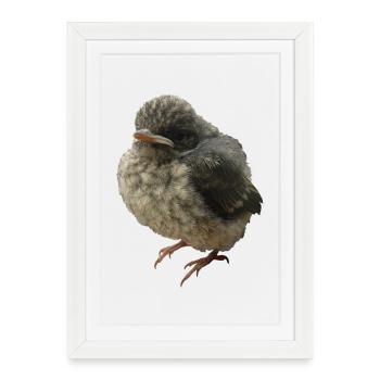 Young Bird Branch - Framed poster (27 × 37 cm) - white - Front