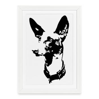Tête de podenco - Affiche encadrée (27 × 37 cm) - blanc - Devant