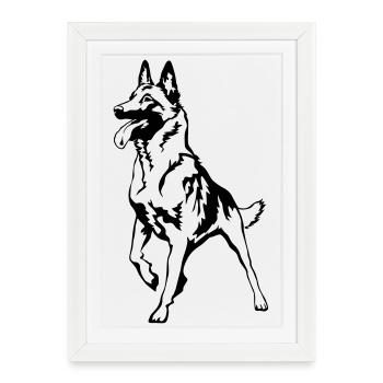 Malinois - Framed poster (27 × 37 cm) - white - Front