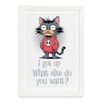 I got up cat humor - Framed poster (27 × 37 cm) - white - Front
