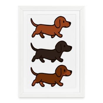 Illustration du patron de teckel courant pour chien - Affiche encadrée (27 × 37 cm) - blanc - Devant