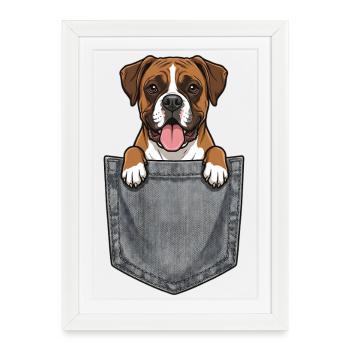 Boxer dans la Poche - Chien Mignon - Affiche encadrée (27 × 37 cm) - blanc - Devant