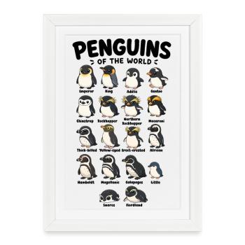 Pingouins mignons espèces du monde pingouins mignons - Affiche encadrée (27 × 37 cm) - blanc - Devant