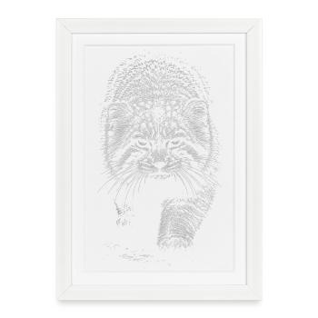 Manul - Affiche encadrée (27 × 37 cm) - blanc - Devant