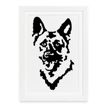 chien de berger - Affiche encadrée (27 × 37 cm) - blanc - Devant