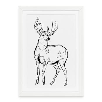 cerf - Affiche encadrée (27 × 37 cm) - blanc - Devant