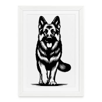 German Shepherd - Framed poster (27 × 37 cm) - white - Front