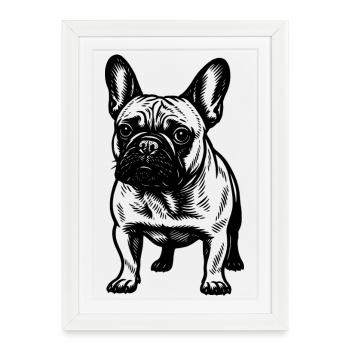 Bouledogue Français Noir Blanc - Affiche encadrée (27 × 37 cm) - blanc - Devant